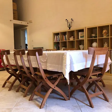 فيلة Summertime *